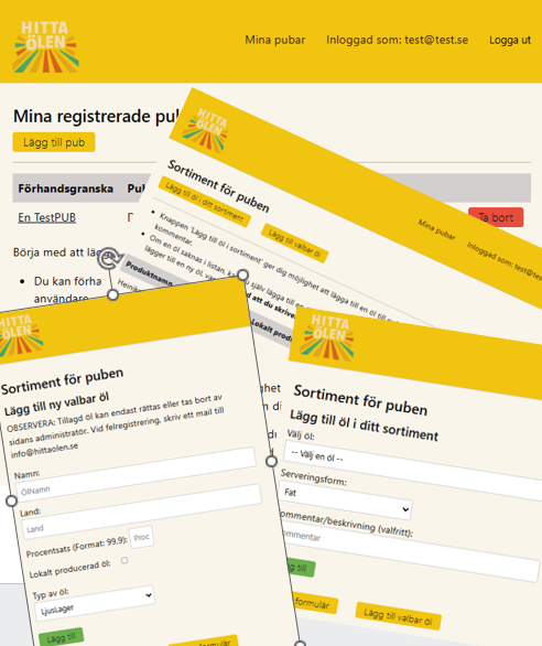 Bild på gränssnitt